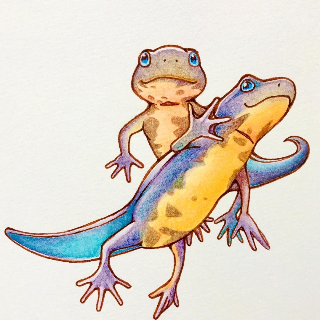 Whimsical Pet-to-Anime Style