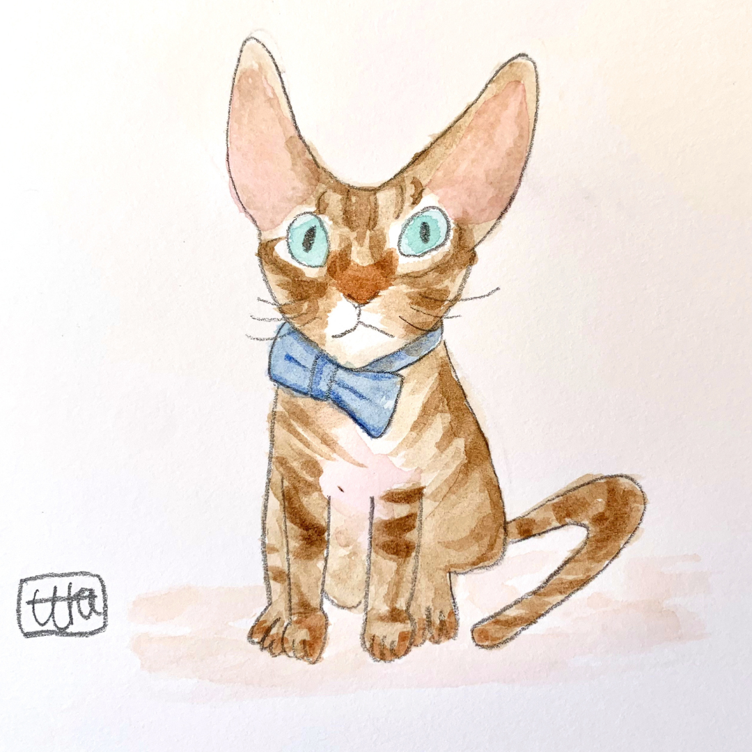 Delicate Pet Portrait in Whimsical Style